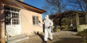 duzcede findik icin kokarca mucadelesi VA76wRZG.jpg